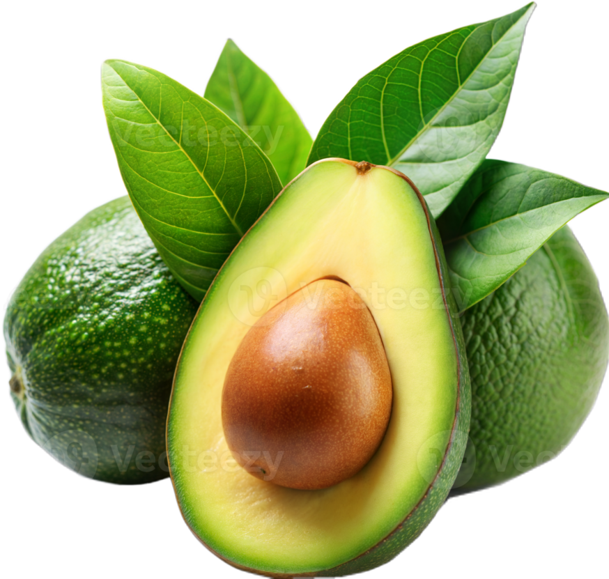 Avocado