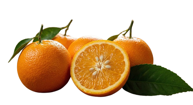 citrusorange
