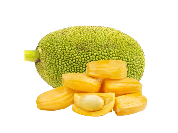 Jackfruit