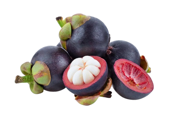Mangosteen