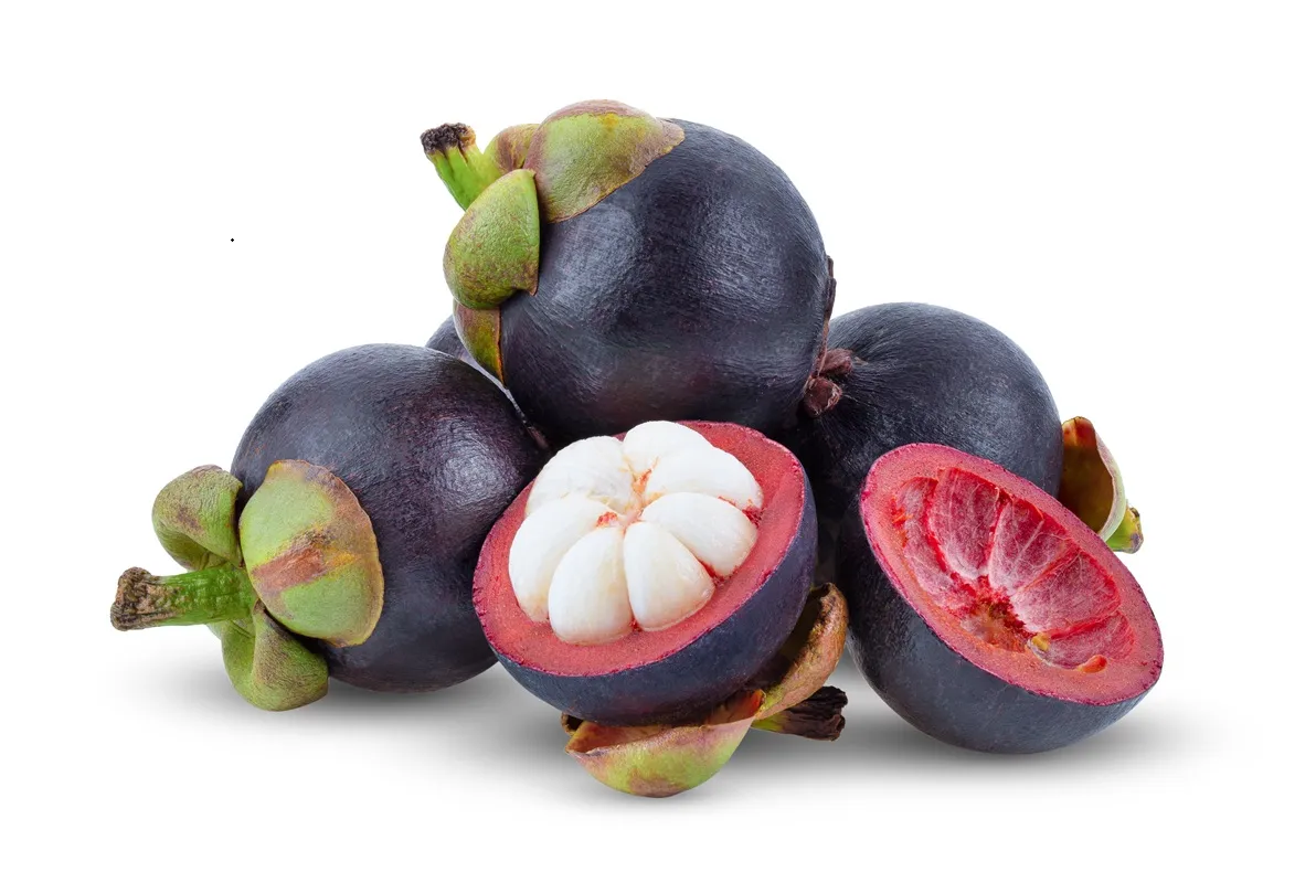 Mangosteen