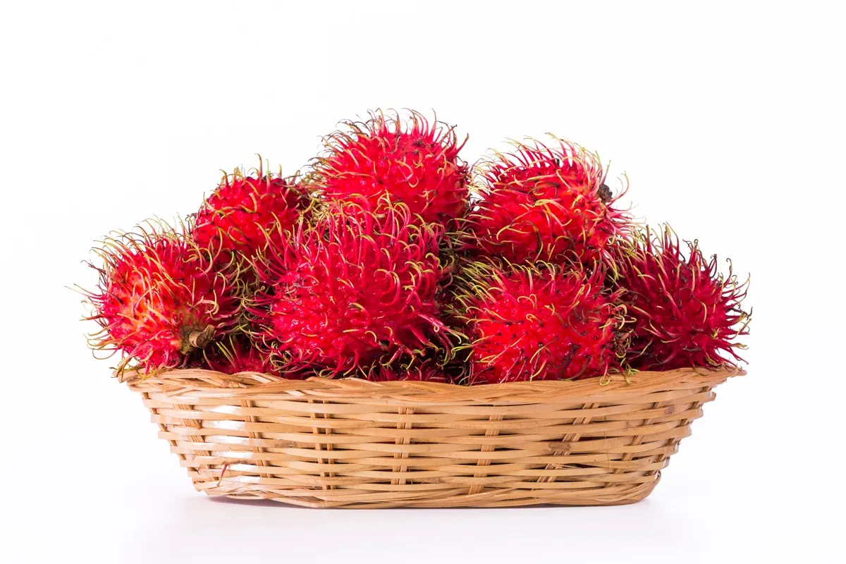 Rambutan